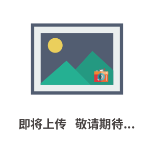 150庫存二手200平方自動拉板廂式液壓壓濾機